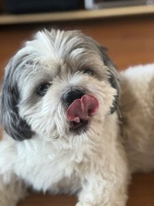 Thank you for the meal