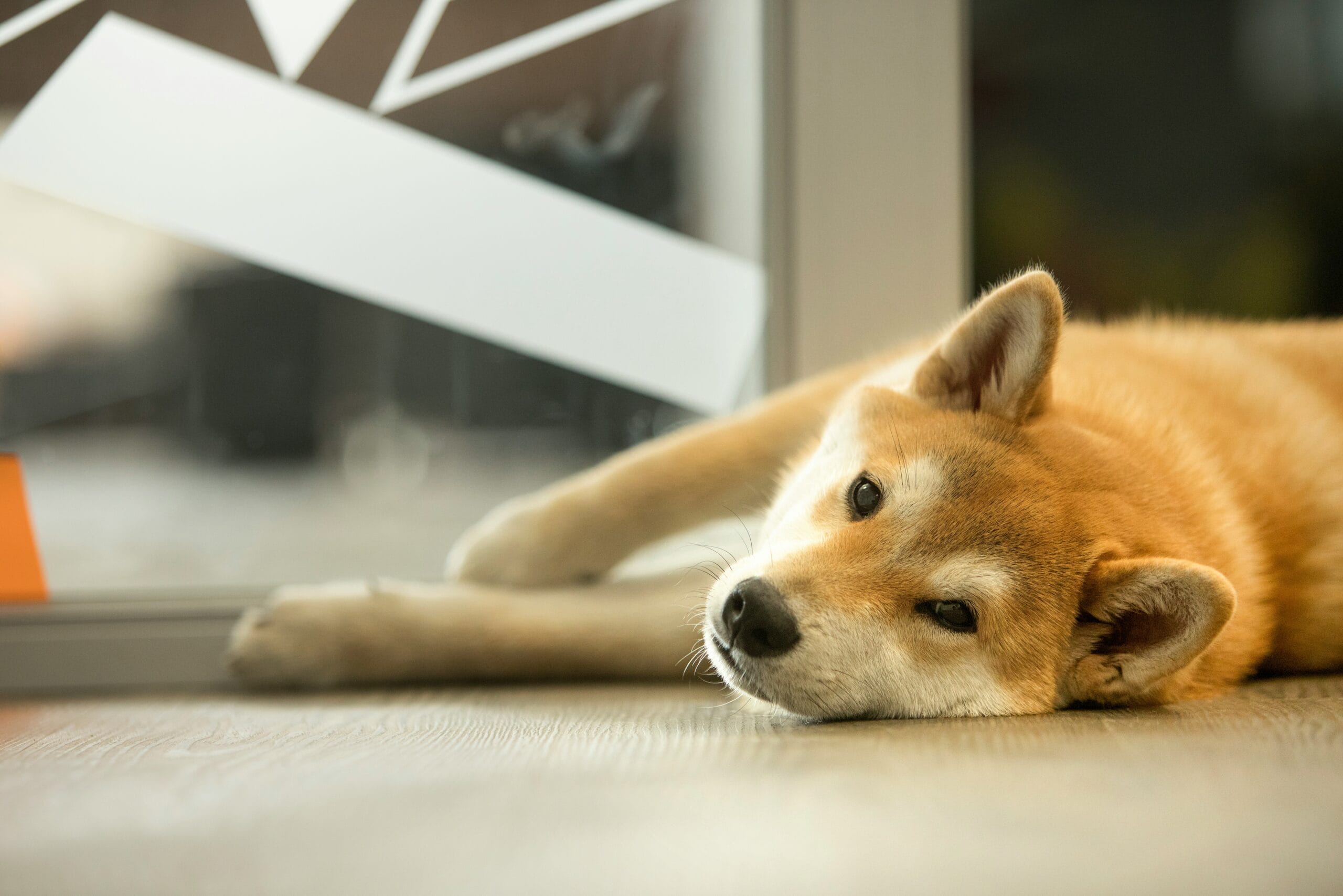 lying down