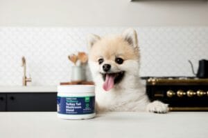 supplement-dog