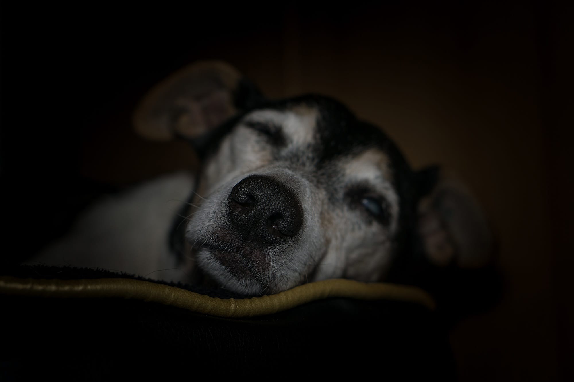 Bedridden