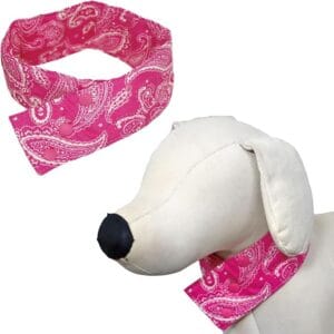 coolbandana