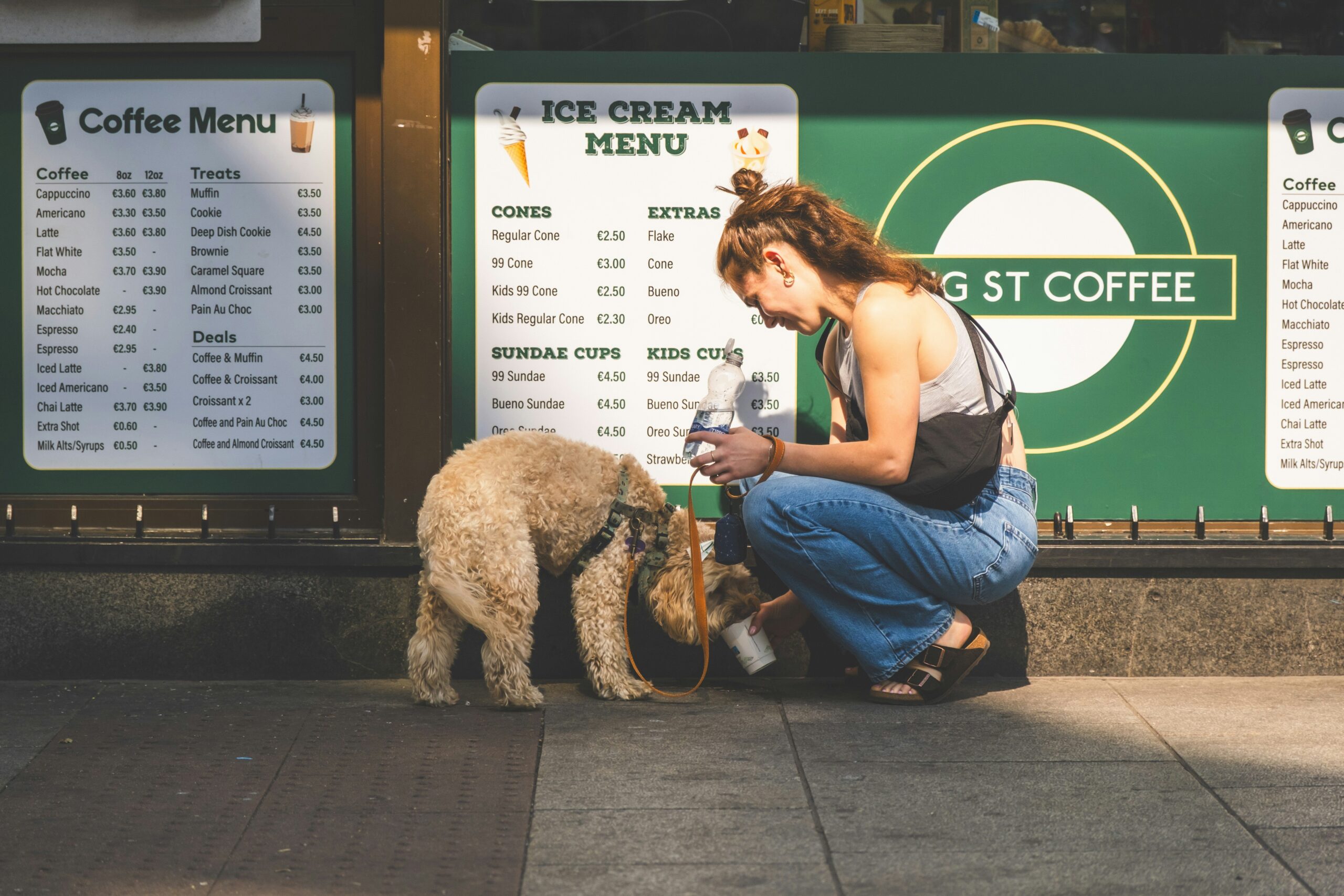 dog drinking water1