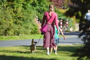 Dog walking on the grass