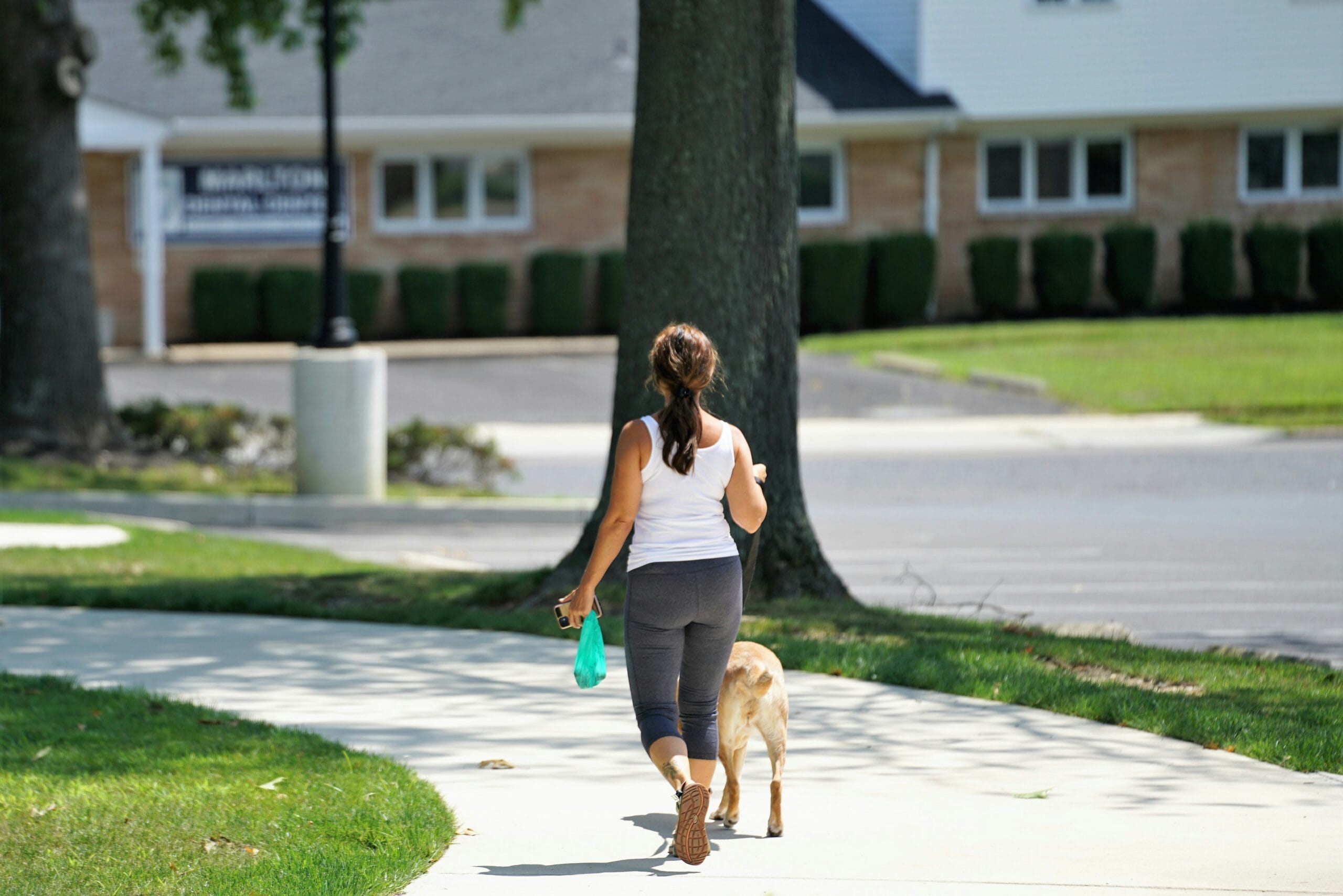 dog-walk-insect-repellent1