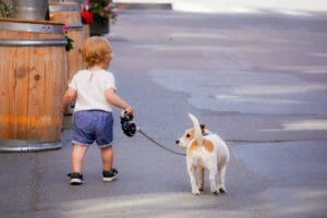 dog-walk-insect-repellent4