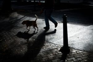 dog-walk-light-leash2