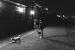 dog-walk-light-leash4