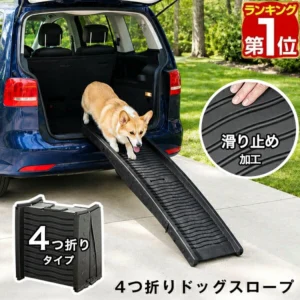ottostyle_ramp